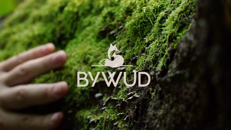 BYWUD CORPORATE VIDEO